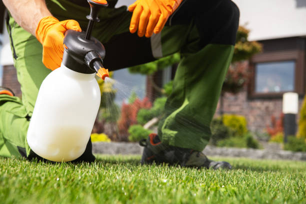 Best Best Pest Control Companies  in Malabar, FL