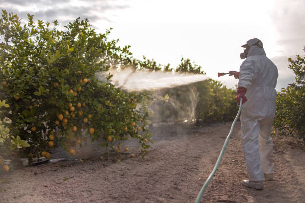 Malabar, FL Pest Control Company