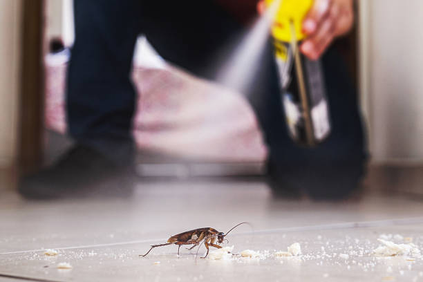 Best Affordable Pest Control Services  in Malabar, FL