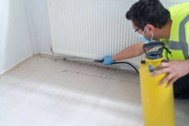 Best Wasp Removal Services  in Malabar, FL