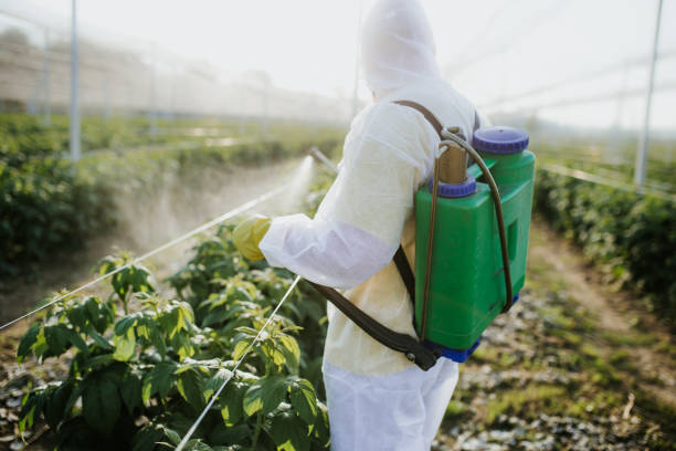 Pest Prevention Services in Malabar, FL